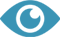 GVSvision